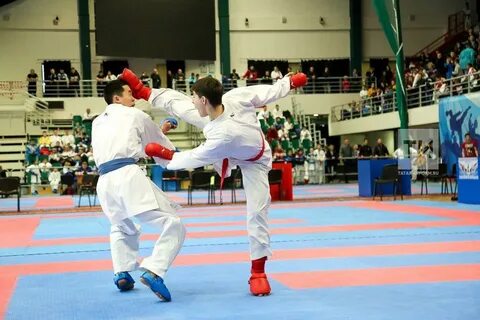 Кубок ак барс по каратэ