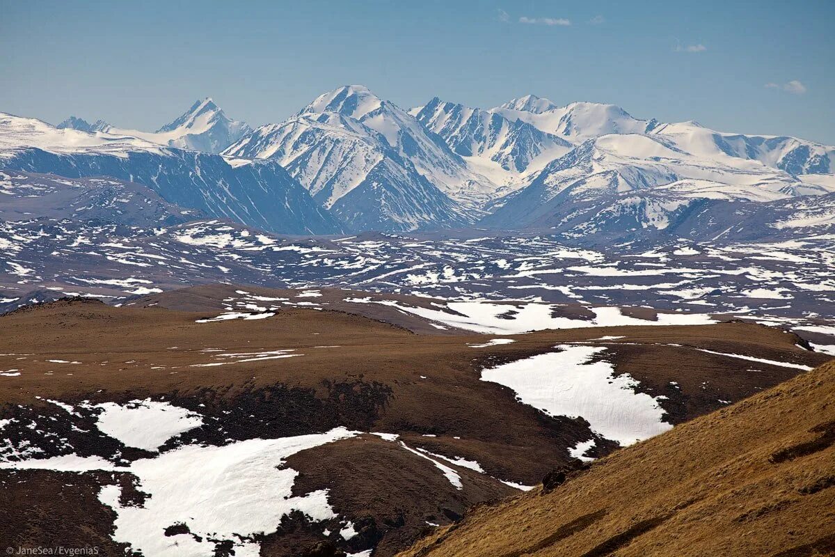 южно чуйский хребет. панорама северо-чуйского хребта. южно-чуйский хребет алтай. южно чуйский хребет. южно чуйский хребет.
