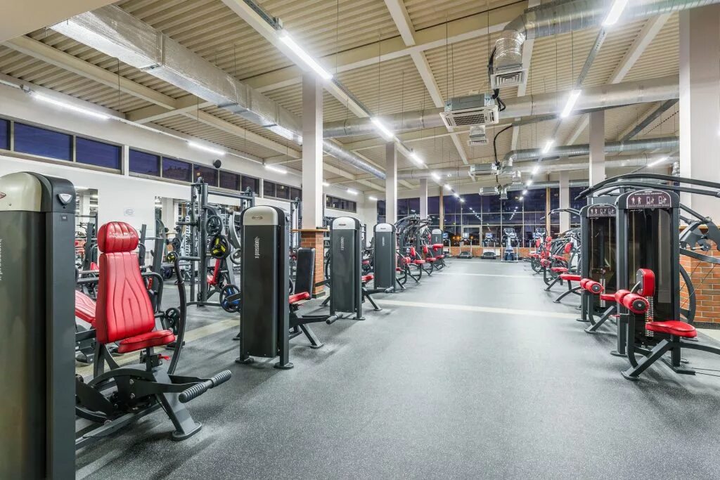 озерки культуры 11