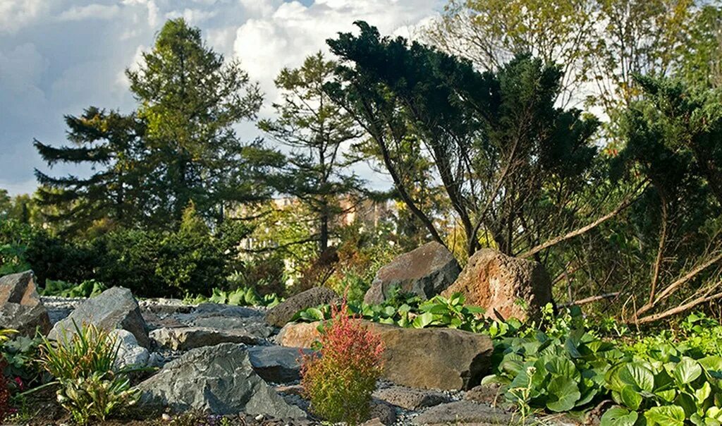 сады приморья владивосток. сады приморья владивосток. главный ботанический сад приморье. никитский парк приморский парк японский уголок. ботанический сад дальнего востока.