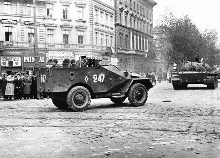 4 ноября 1956