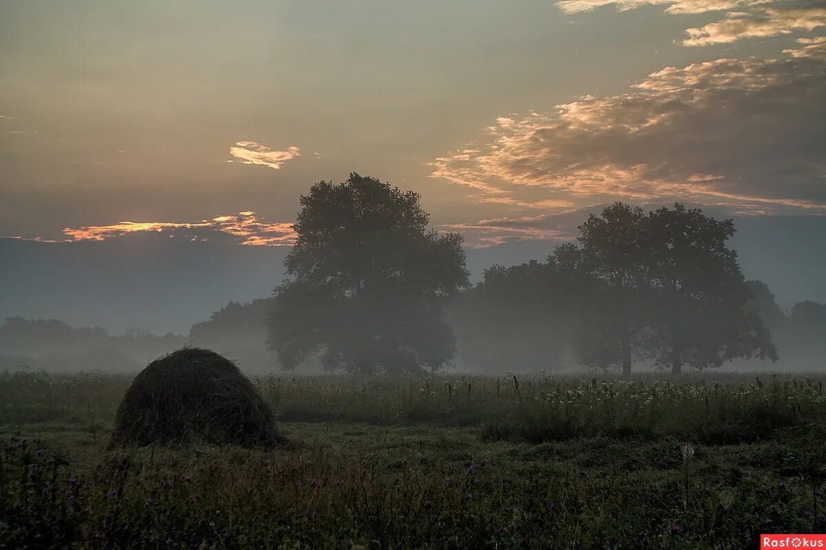 Заря не рано ли