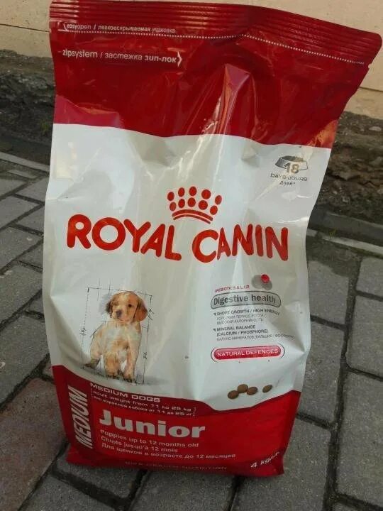 Корм для собак Royal Canin 4 кг. Роял Канин professional giant Junior 17. Роял Канин корм для собак и кошек лечебно профилактический. Грустная собака Royal Canin.