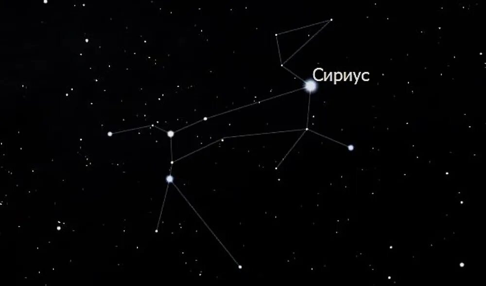 Созвездие большого пса картинки. Сириус альфа большого пса. Большой пес яркие звезды. Большой пес яркие звезды. Самая яркая звезда в созвездии малый пес.