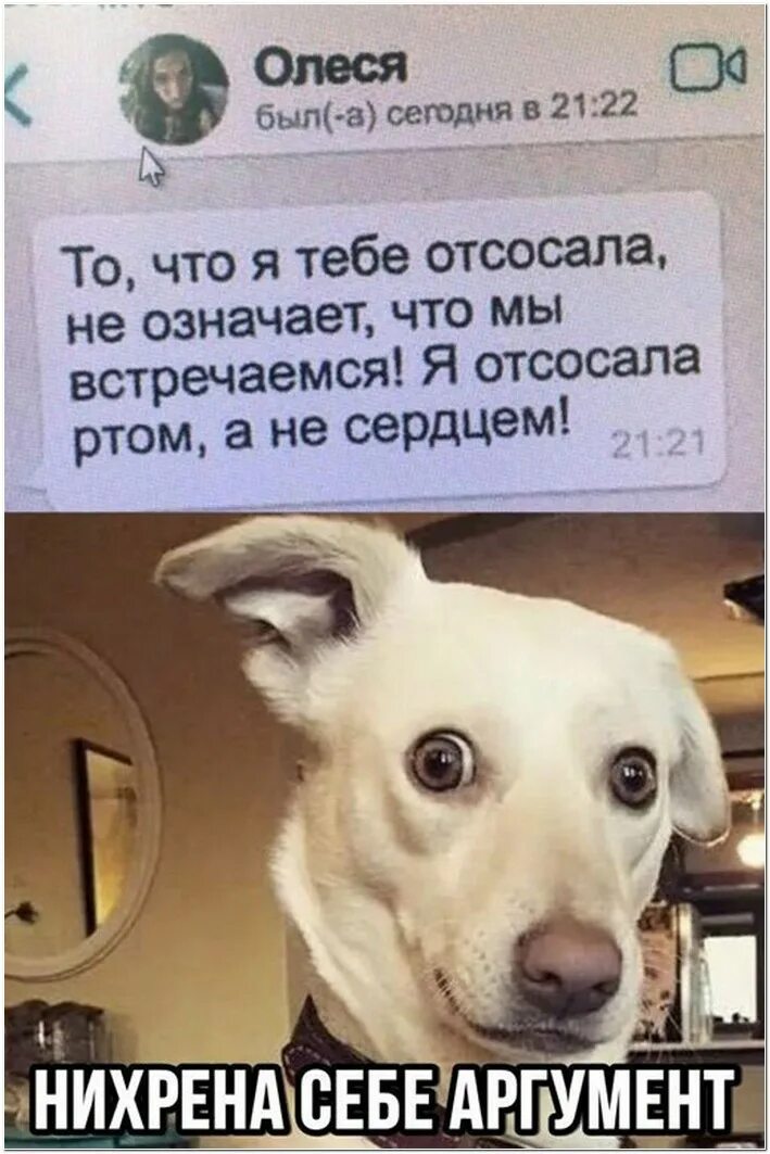 Что Означает Оральный Секс