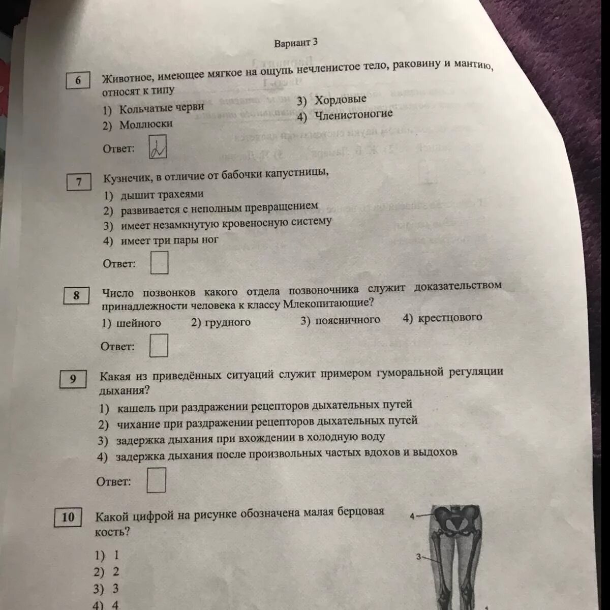 Пробник по биологии. Пробник ОГЭ по биологии. Биология ОГЭ вопросы. Вопросы ОГЭ по биологии. 5 задание огэ биология 2024