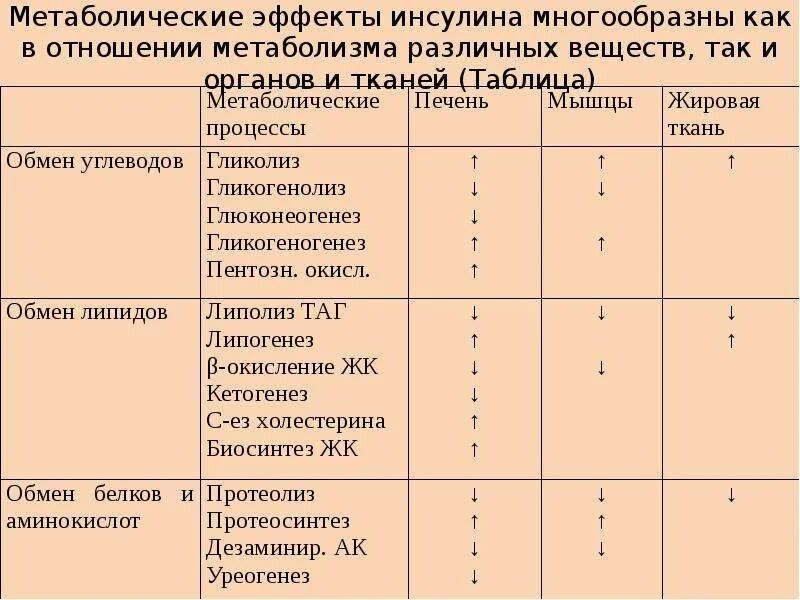 Инсулин относится к группе. Метаболические эффекты инсулина. Основные метаболические эффекты инсулина. Инсулин таблица. Действие инсулина на метаболические процессы таблица.