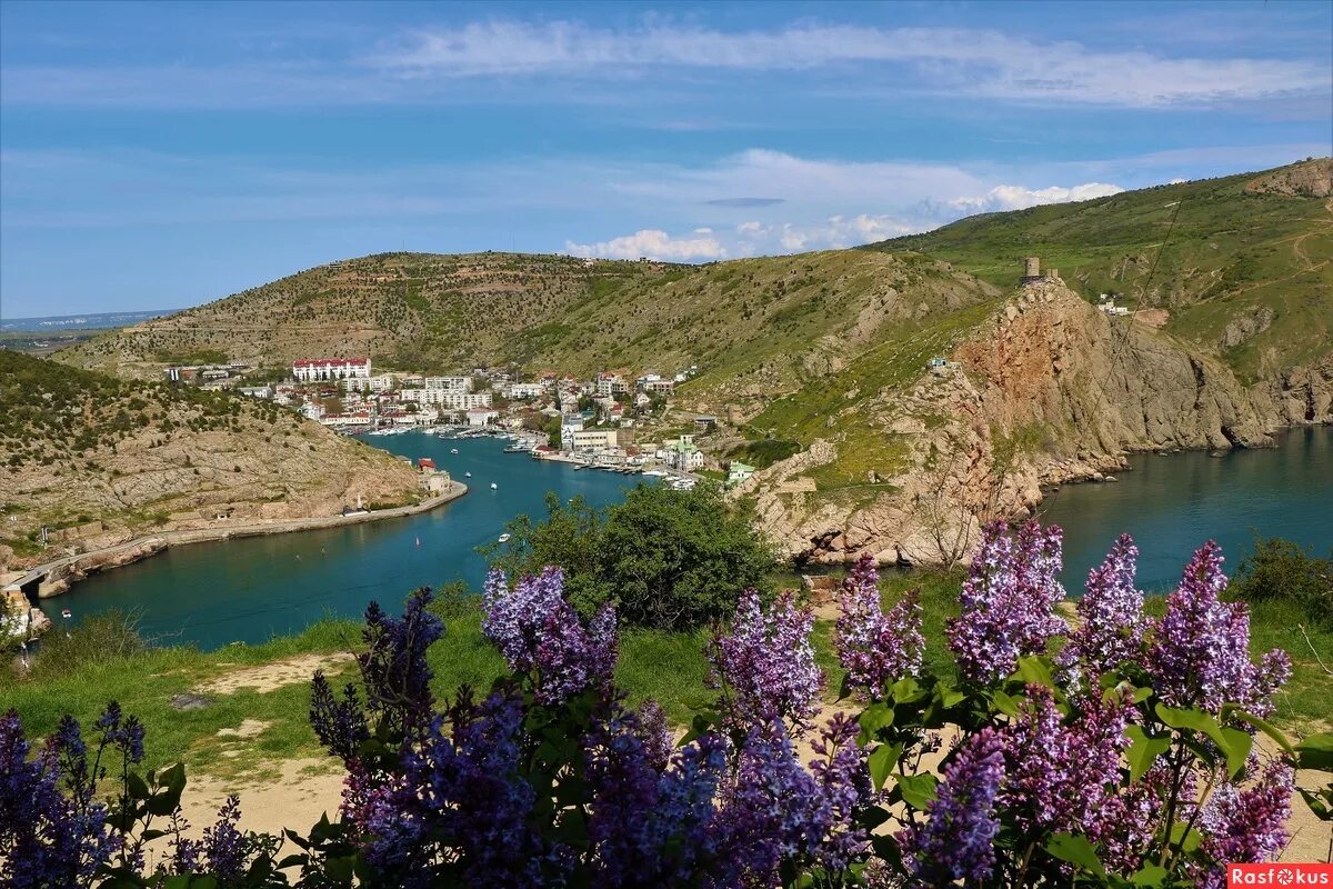 Севастополь область край. Балаклавская бухта. Бухта Балаклава в Крыму. Балаклавская бухта гора. Цветущая Балаклава Севастополь.