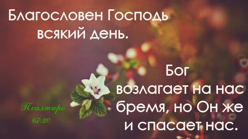 Будь благословенна богом. Благословен Господь всякий день. Благослови вас Господь. Благословен Господь Бог. Благослови Господь на день.