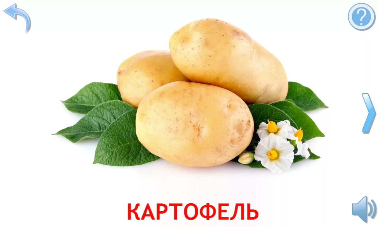 Подбери к слову картофель