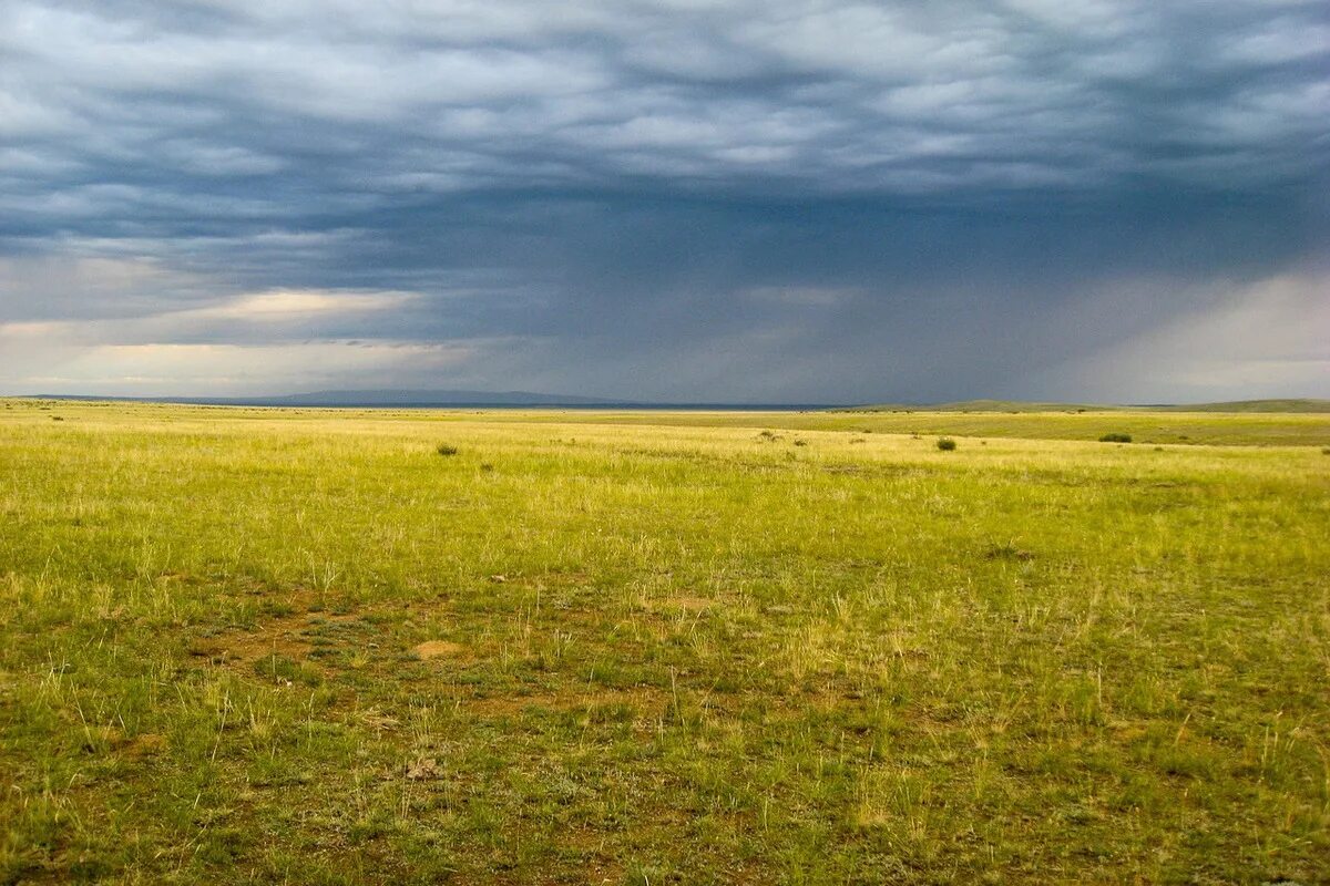 Эти равнины словно бескрайнее. Степи Восточно европейской равнины. Шарчинская степь. Степи Херсона. Степная зона Челябинской области.