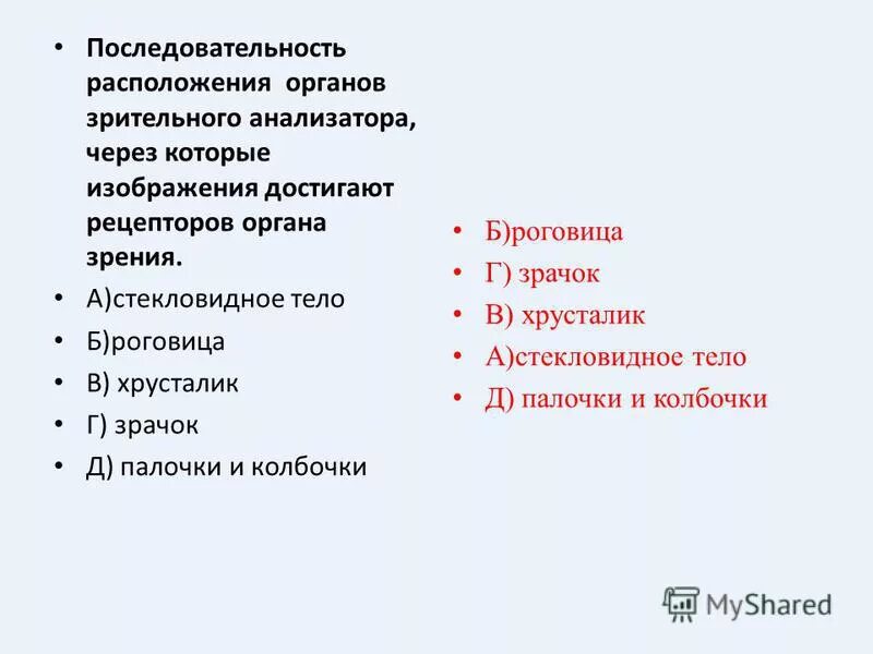 Установите последовательность расположения органов. Установите последовательность расположения органов