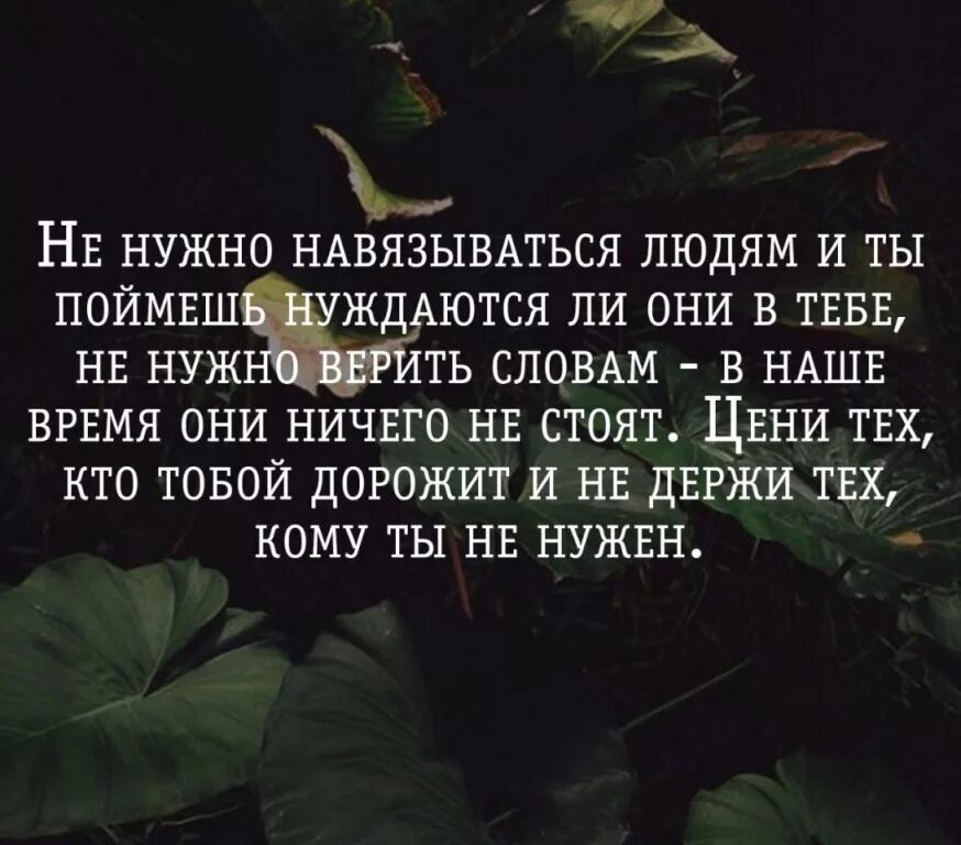 С точки зрения мудрости. Цитаты про нужных людей. Бывает цитаты. Высказывания о понимании. Если человек нужен цитаты.