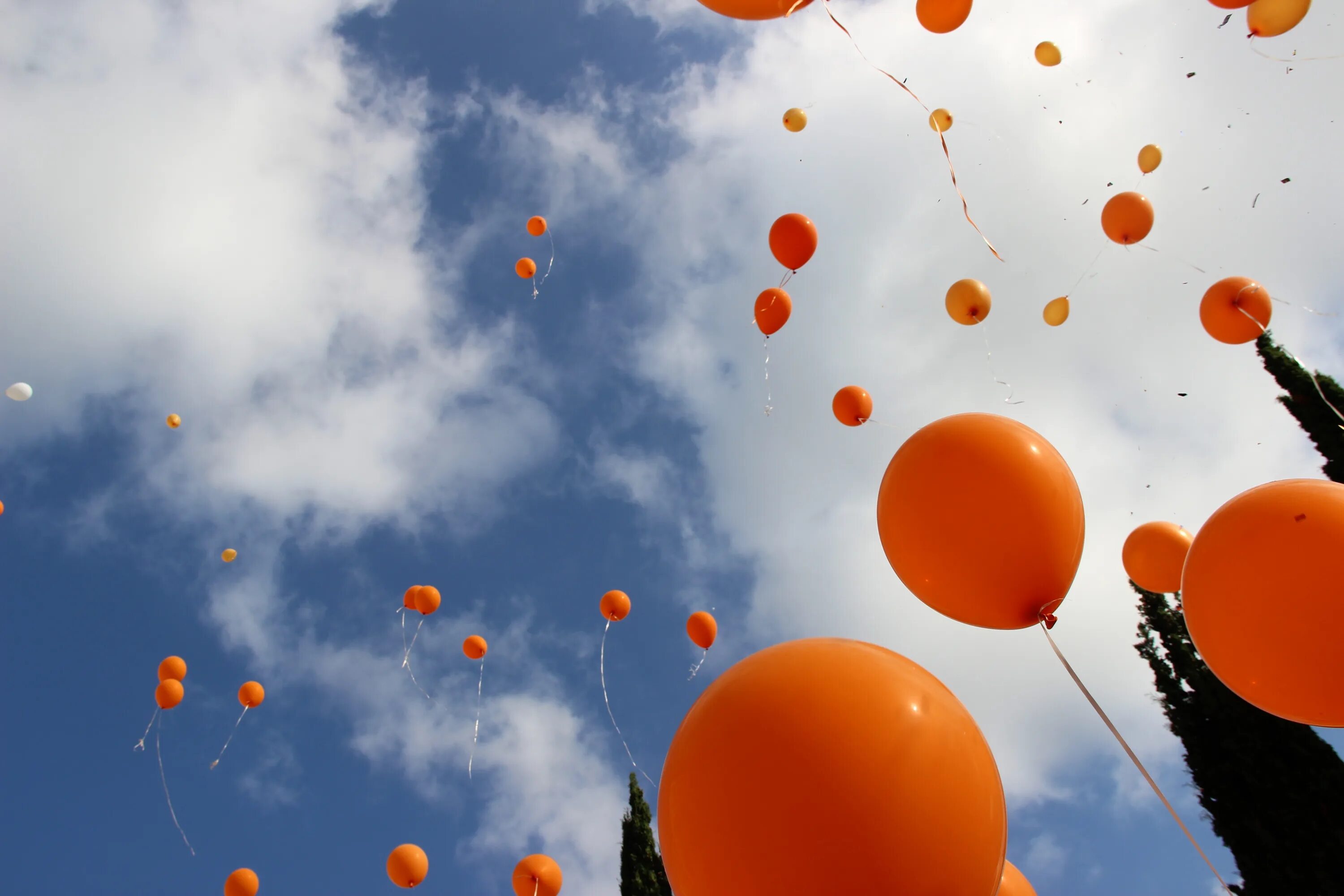 На оранжевом шаре. Оранжевые воздушные шары. Оранжевый воздушный шарик. Воздушный шар в небе оранжевый. Оранжевые шары в небе.