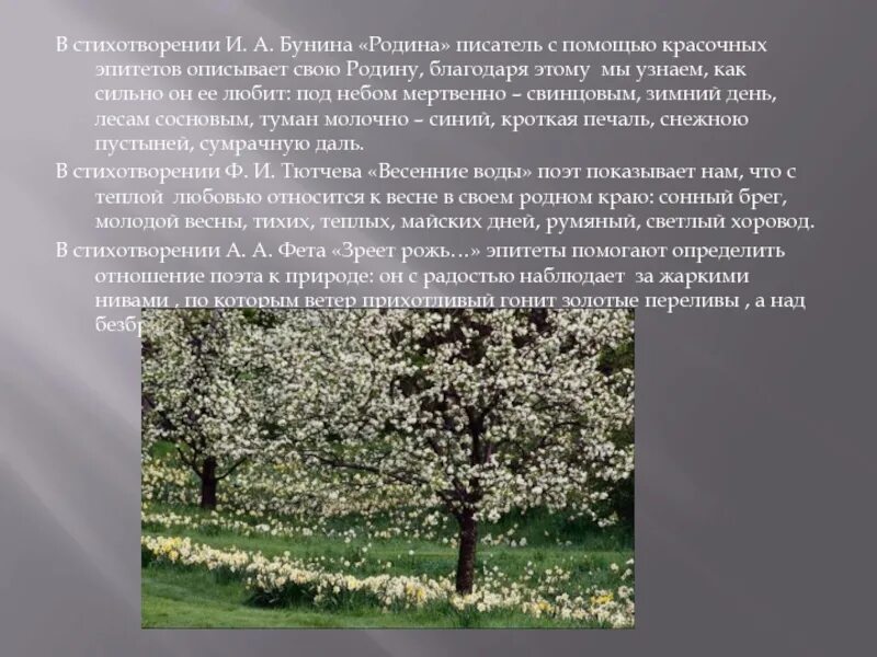 Тема стихотворения бунина родине. Тема стихотворения бунина родине. Четверостишье о родине. А. Бунин 1887.