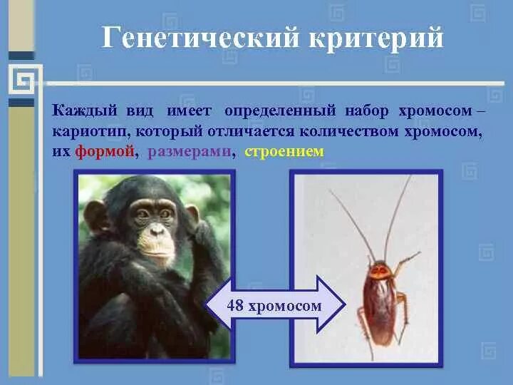 Приведите примеры каждому критерию Критерии истины приведите пример