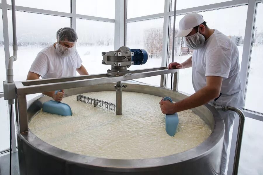 Мини молочный цех. Городецкая сыроварня курцево. Сыродельни в италии. Оборудование для творога. Производство сыра.