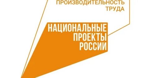Национальный проект картинки