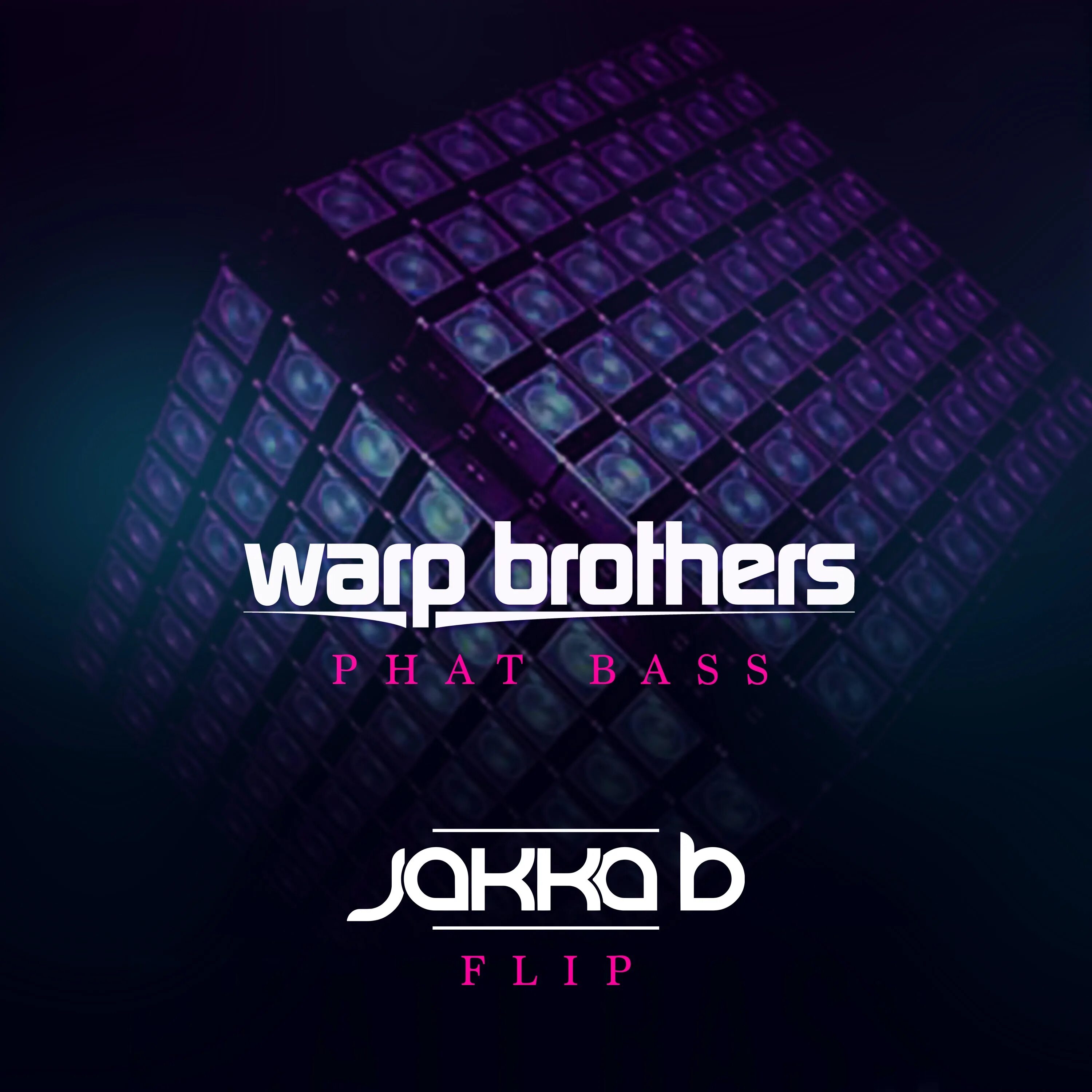 Brother bass. "Warp brothers vs. Aquagen" "phatt Bass & we will Survive (Maxi Single)". Warp brothers - phatt Bass (Warp brothers Bass Mix) релиз. Aquagen vs Warp brothers phatt Bass. Винил диджей Warp brothers.