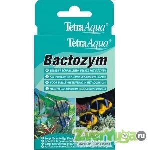 Tetra bacteria