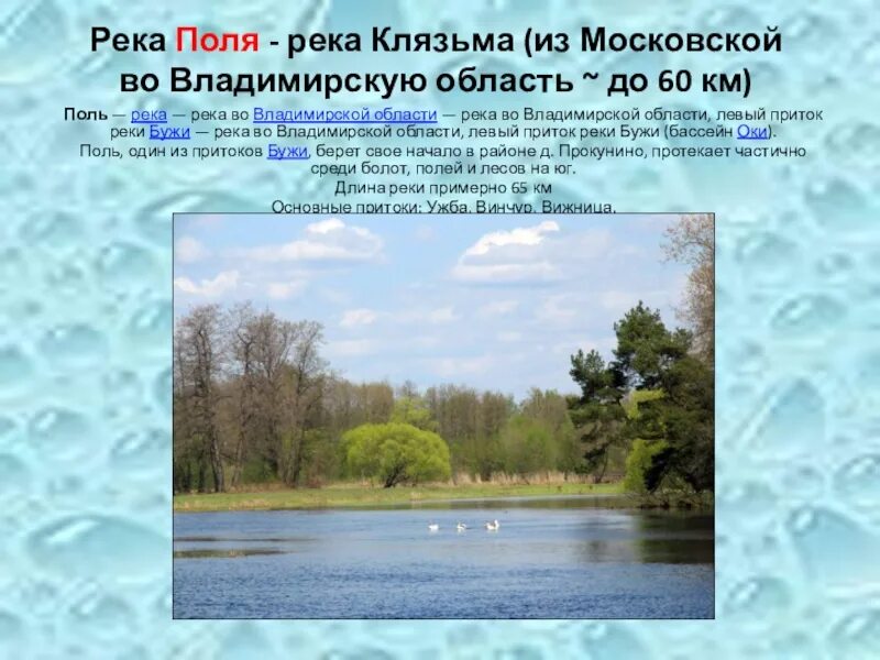 Сколько рек клязьма. Рассказ о реке Владимирской области. Река Клязьма во Владимирской области рассказ. Бассейн реки Клязьма Владимирская область. Река Клязьма для 4 класса.