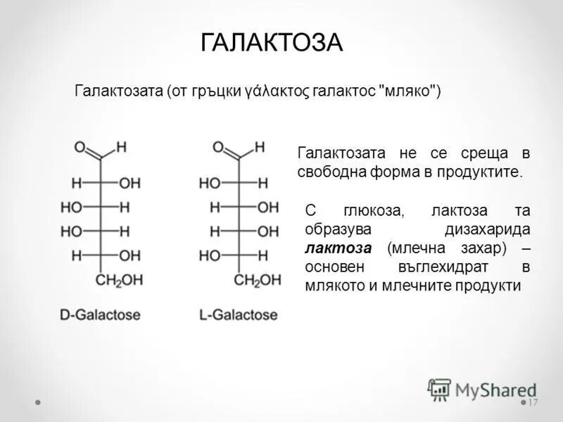 Галактоза что это