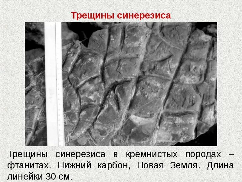 Трещина определение. Трещины синерезиса. Микротрещины в горной породе. Трещины синерезиса Геология. Разрывы горных пород.