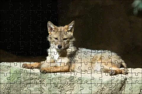 Кает