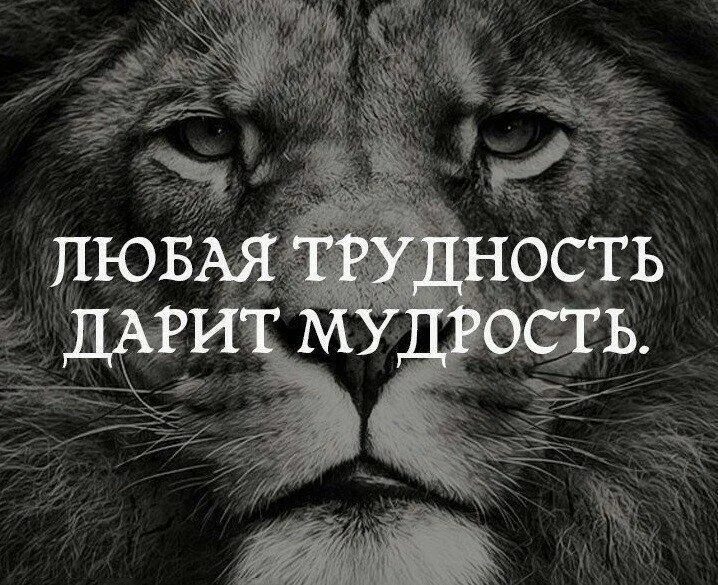 Аватарки со статусом