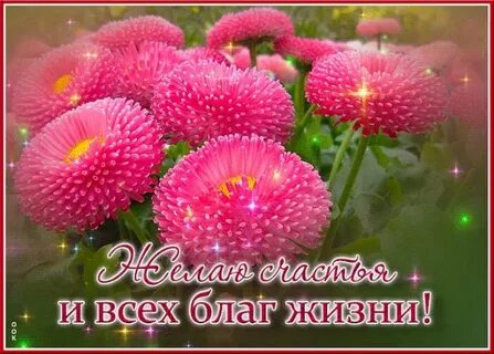 Благо живи