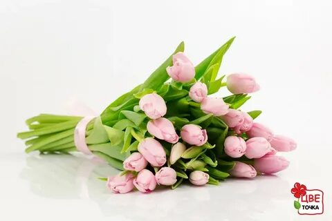 Цветы стерлитамак тюльпаны