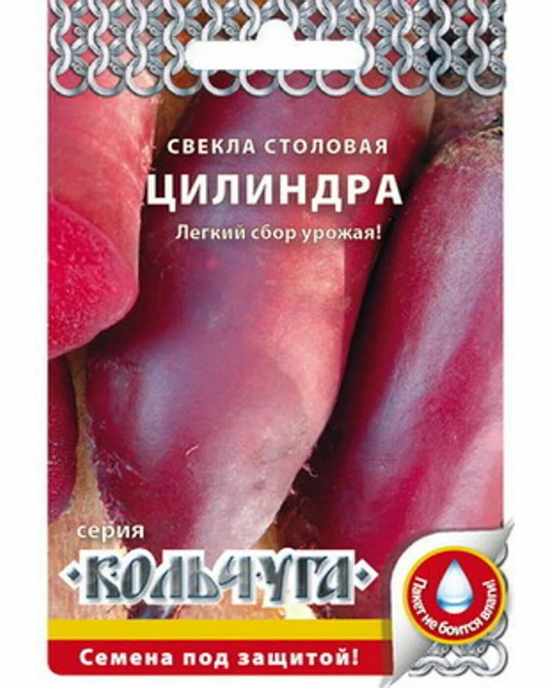 Цилиндра свекла когда убирать урожай с грядки. Свёкла кольчуга. свекла столовая цилиндра. свекла цилиндра 3гр. свекла цилиндра 3гр/10.