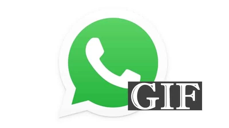 Анимированная ватсап на андроид. Ватсап. гиф для ватсап. whatsapp анимация. гифка ватсап.