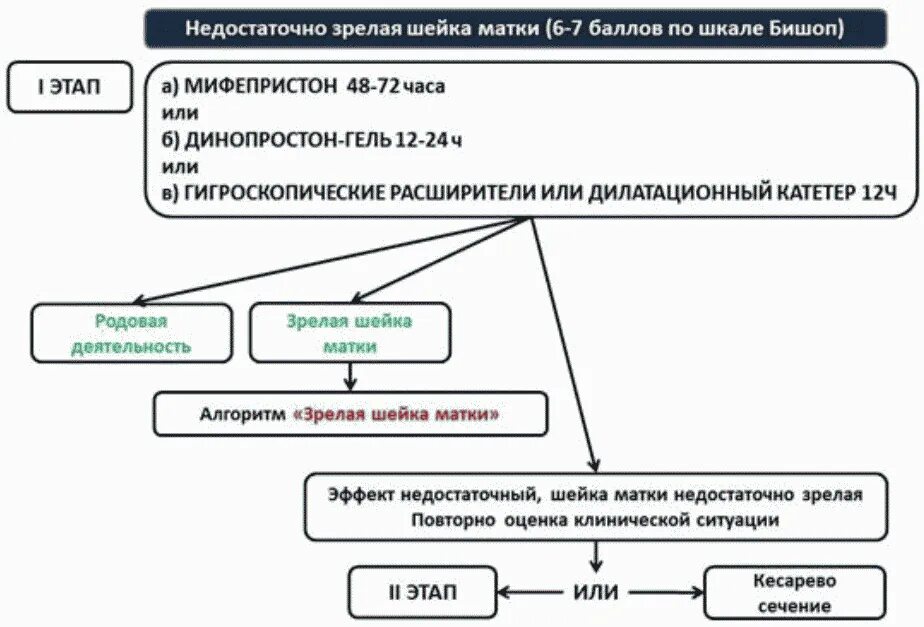 Мифепристон для родов через сколько действует. Подготовка шейки матки к родам клинические рекомендации. таблетка для стимуляции шейки мифепристон. мефистон таблетки для стимуляции родов. шейка матки недостаточно зрелая 7 баллов по шкале бишоп.