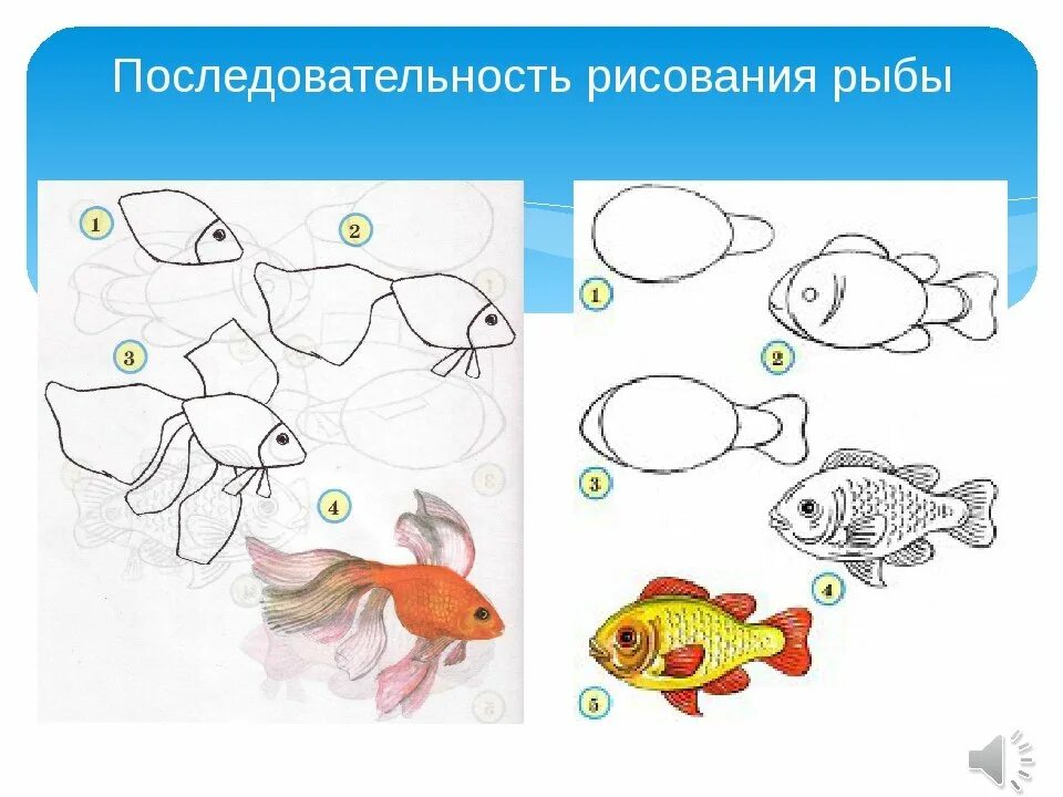 Поэтапное рисование рыбки. Рисование рыбы для дошкольников. Аквариумные рыбки рисование. Рисование на тему рыбы.