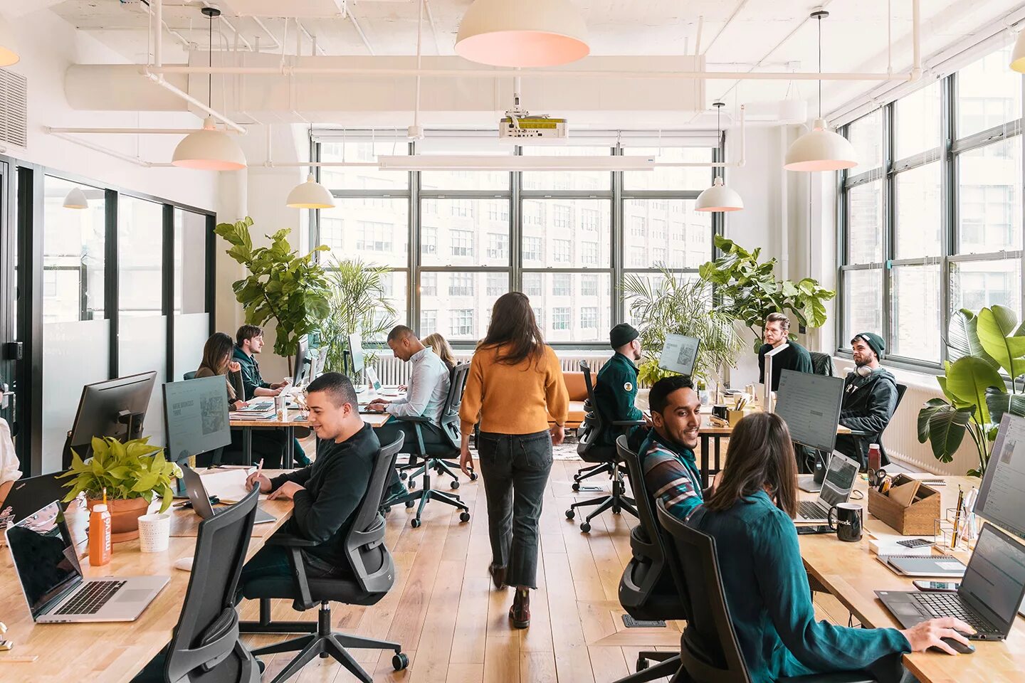 The working environment