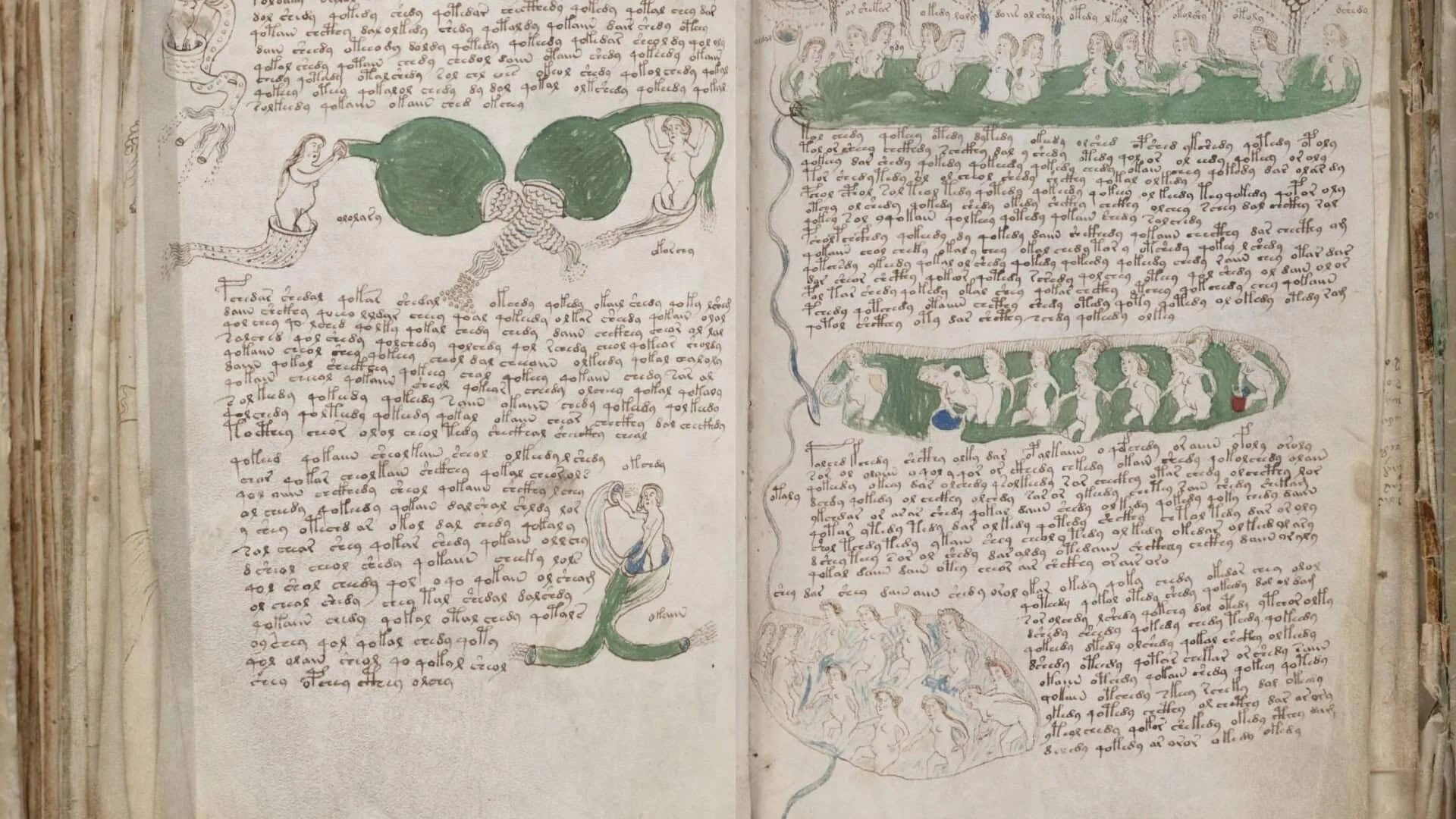 Манускрипт войнича иллюстрации. Таинственная книга войнича. Манускрипт войнича. Манускрипт что это. Манускрипт войнича расшифровка.