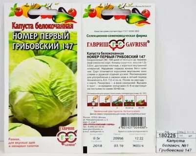 Грибовская капуста описание сорта характеристика