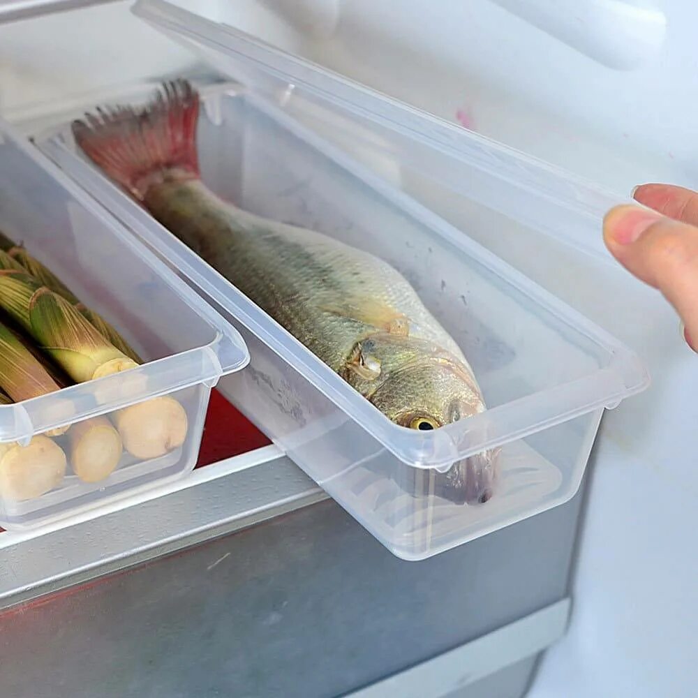 Как хранить копченое в холодильнике. Рыба в холодильнике. Хранение рыбы. Рыба в морозилке. Хранение замороженной рыбы.