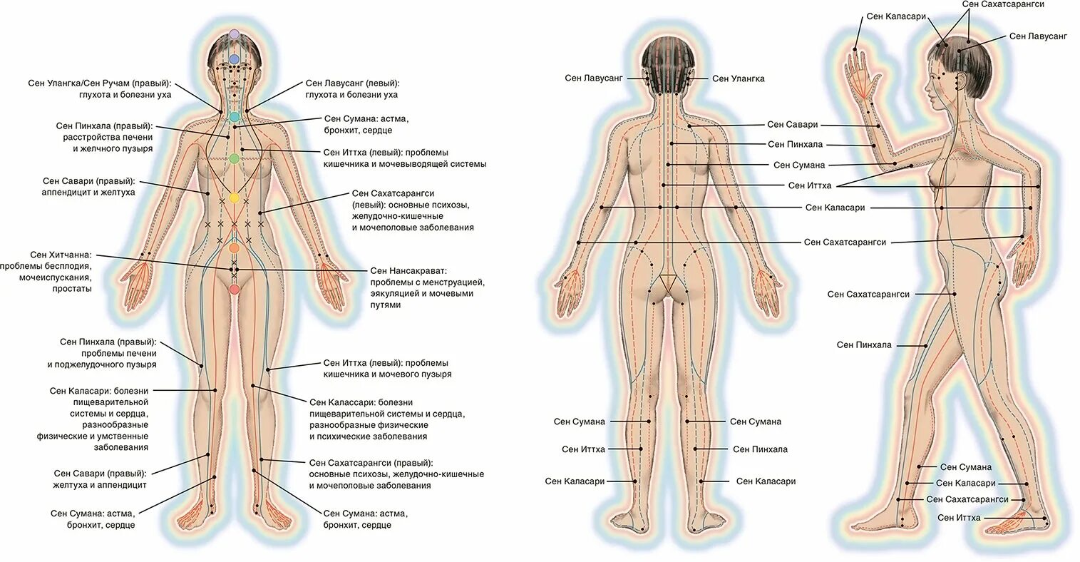 Каналы китайской медицины. Энергетические меридианы человека китайская медицина. Энергетические каналы человека (меридианы). 12 Меридианов человека по китайской медицине. Чудесные меридианы человека схема и направления китайская.