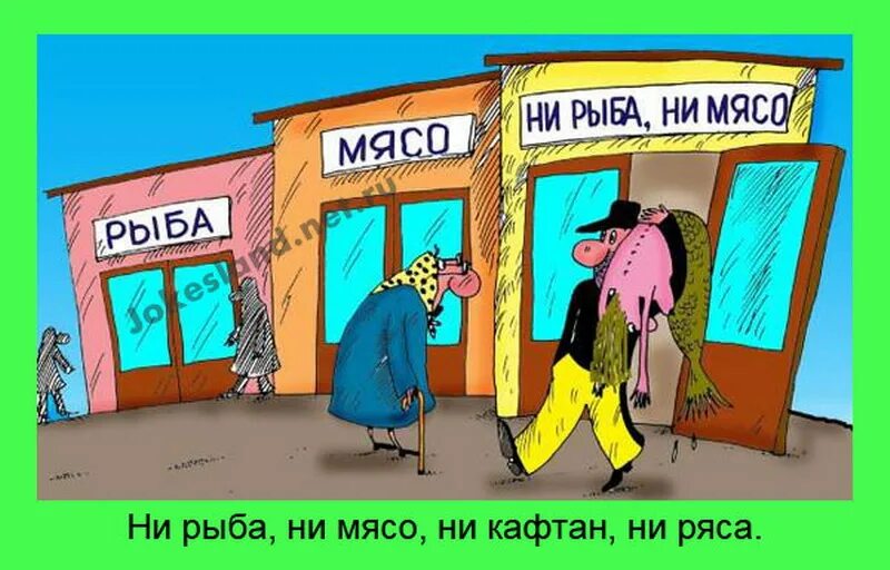 Ни рыба ни мясо почему ни. Ни рыба ни мясо. Ни рыба ни мясо фразеологизм. Ни рыба ни мясо карикатура. Ни рыба ни мясо ни кафтан ни ряса.