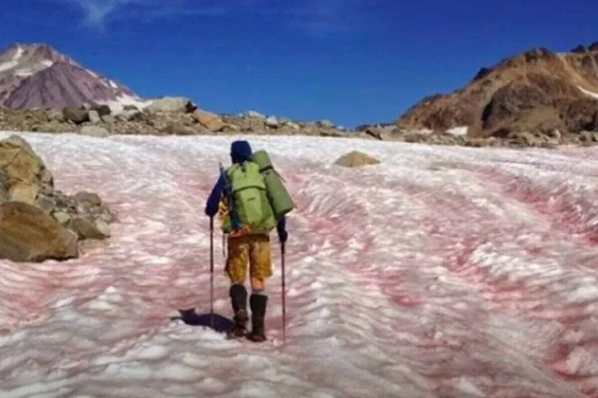 русский снег красный снег