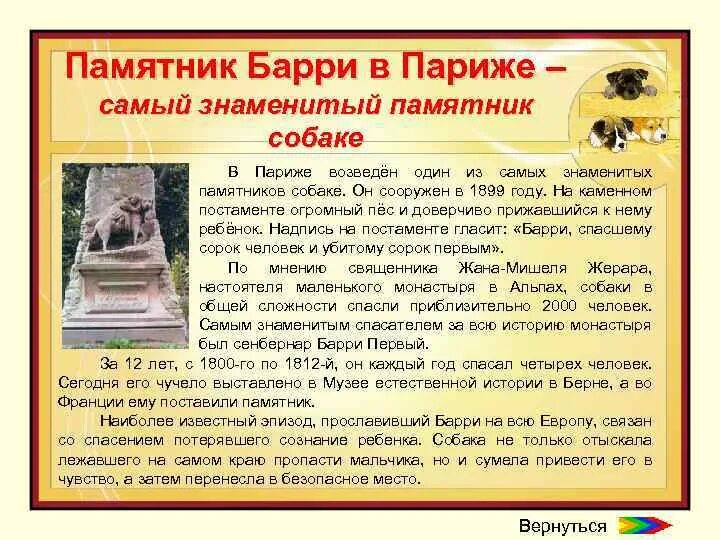 Памятник собаке поводырю в берлине. Памятник преданности в берлинском зоопарке. Памятник собаке в лазаревском. Памятник собаке на петровско разумовской аллее. Памятник собаке в нью-йорке.