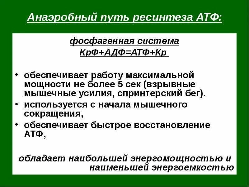 Анаэробный ресинтез атф. Анаэробный путь ресинтеза. Анаэробный путь ресинтеза АТФ. Фосфагенная энергетическая система.