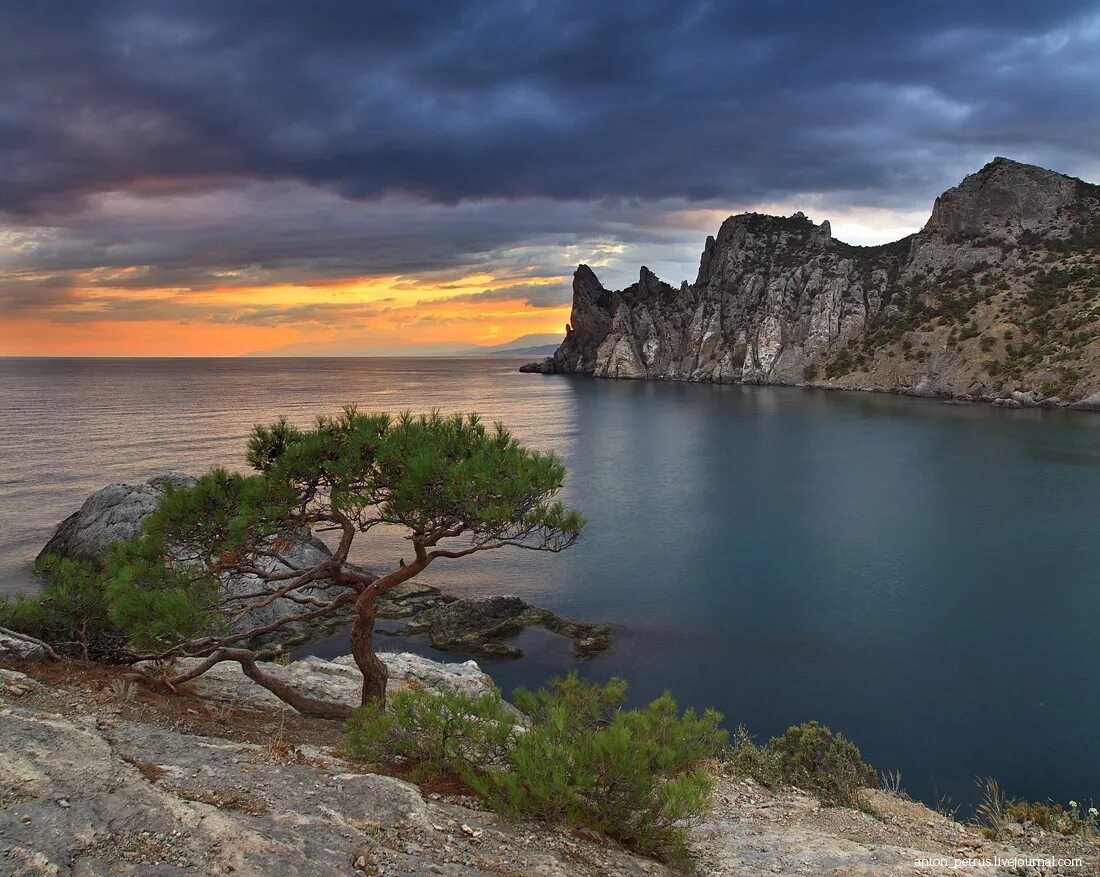 Новый свет морское. Крымский полуостров новый свет. Новый свет Феодосия. Старый свет и новый свет Крым. Ялта пейзаж Крыма Пиния.