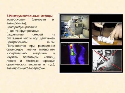 Разделение жидкой смеси клеток метод биологии