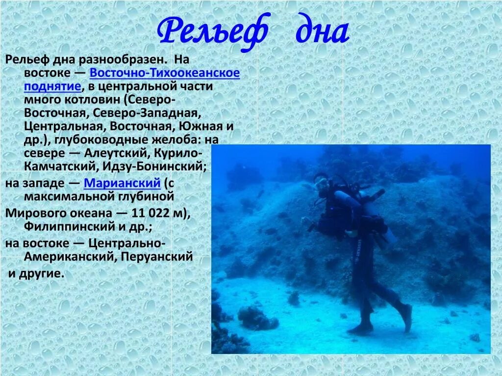 Рельеф дна Тихого океана. Рельеф дна Тихого океана кратко. Рельеф дна морей Тихого океана. Рельеф Тихого океана кратко. Особенности океанов кратко