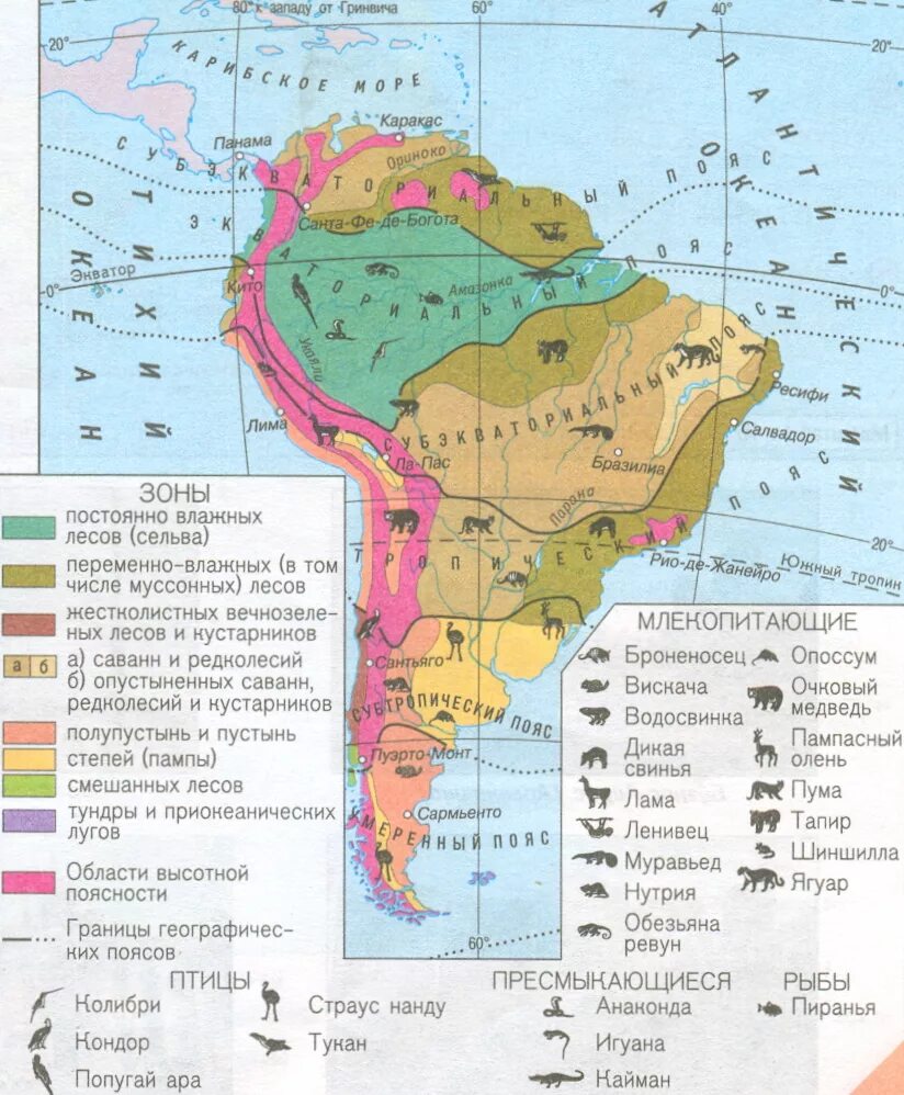Выберите природные зоны южной америки. Карта природных зон Южной Америки. Природные зоны Южной Америки 7 класс география контурная карта. Карта природных зон Южной Америки 7 класс география. Карта природных зон Южной Америки 7 класс.