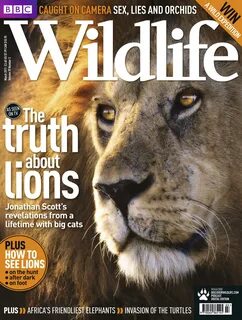 Bbc wildlife