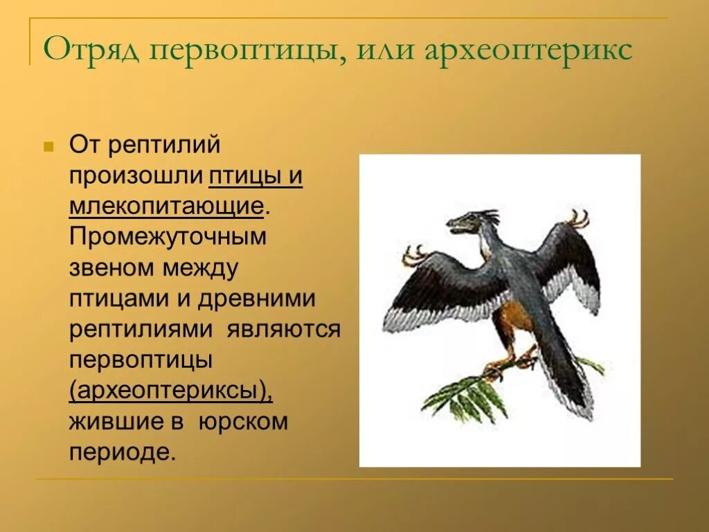 Археоптерикс и Эволюция. Археоптерикс и пресмыкающиеся. Происхождение птиц. Птицы произошли от рептилий. Древние птицы текст